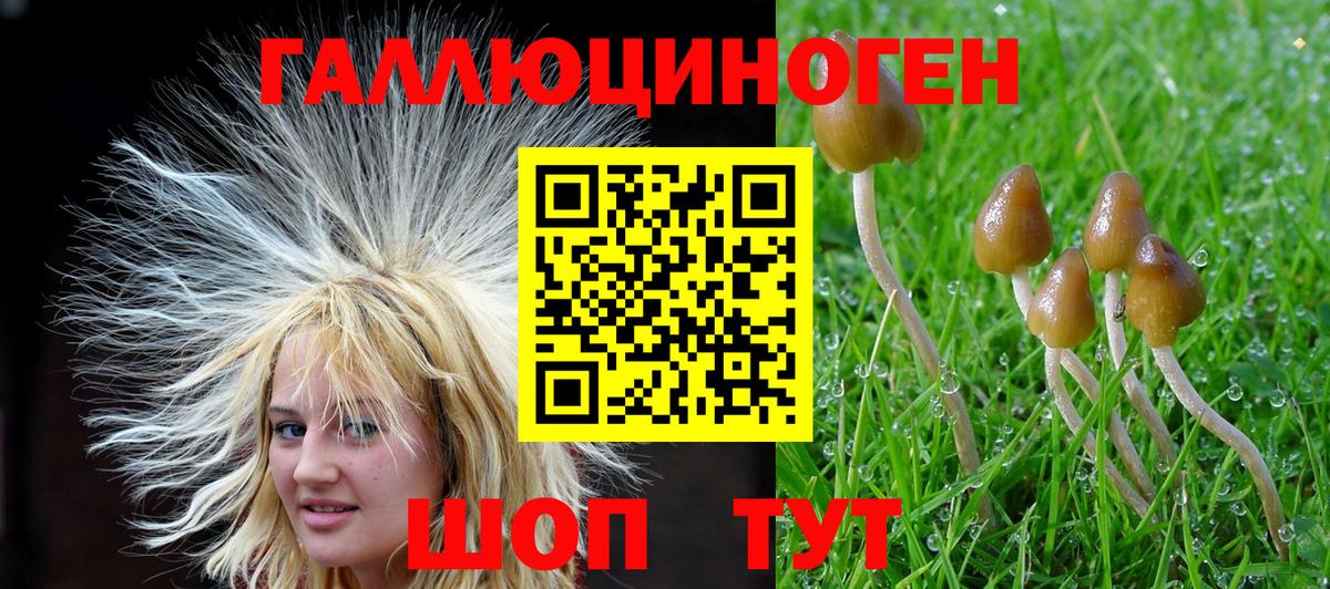 даркнет сайт  Вход с VPN  Владивосток  Галлюциногенные грибы Magic Shrooms 