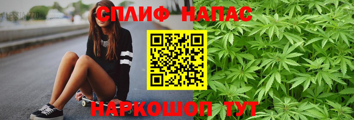 Канабис ГИДРОПОН Владивосток